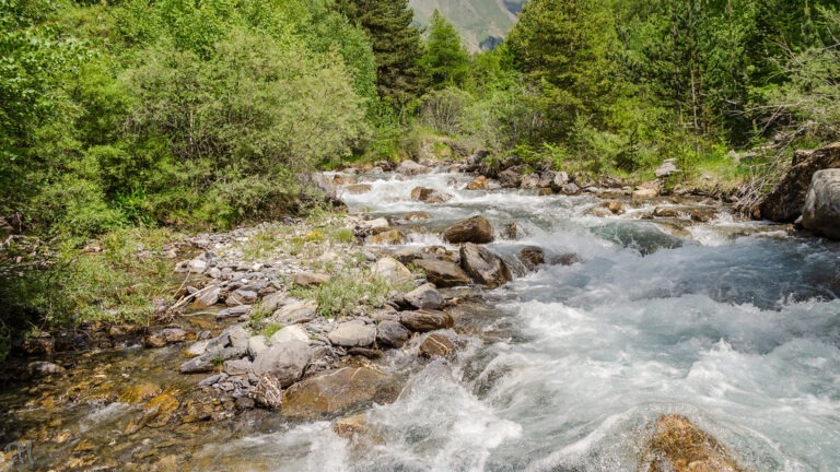 Torrent des Vachères Les Ribes